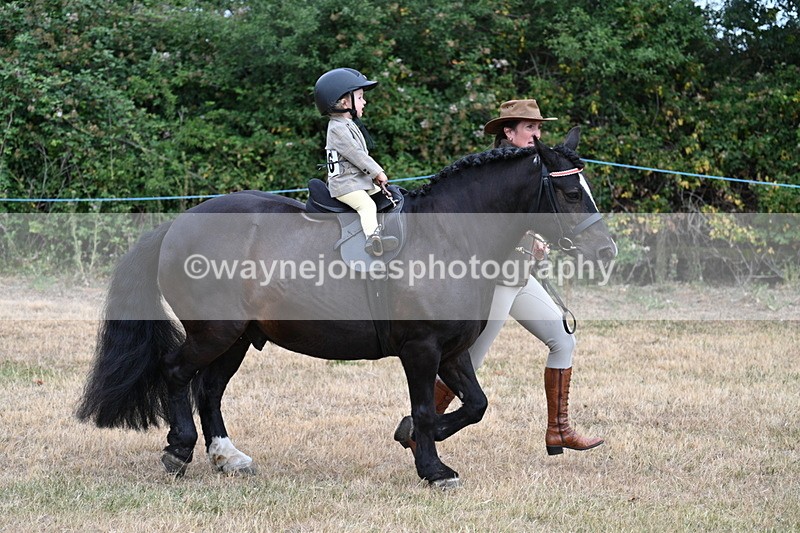 WJ7_9681 - Class 1 Lead Rein Pony
