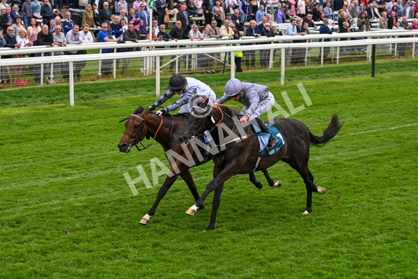 160524-Race 6-Andesite-6689 - Race 6 4.45pm Frank Whittle Partnership ebfstallions.com Novice Stakes