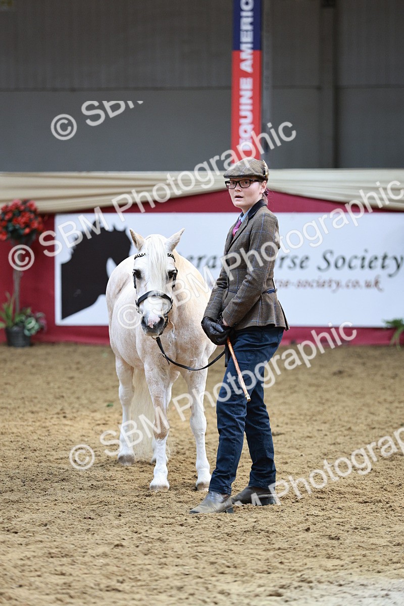 SBM_04810 - Class 7R - Regional IH Diamond