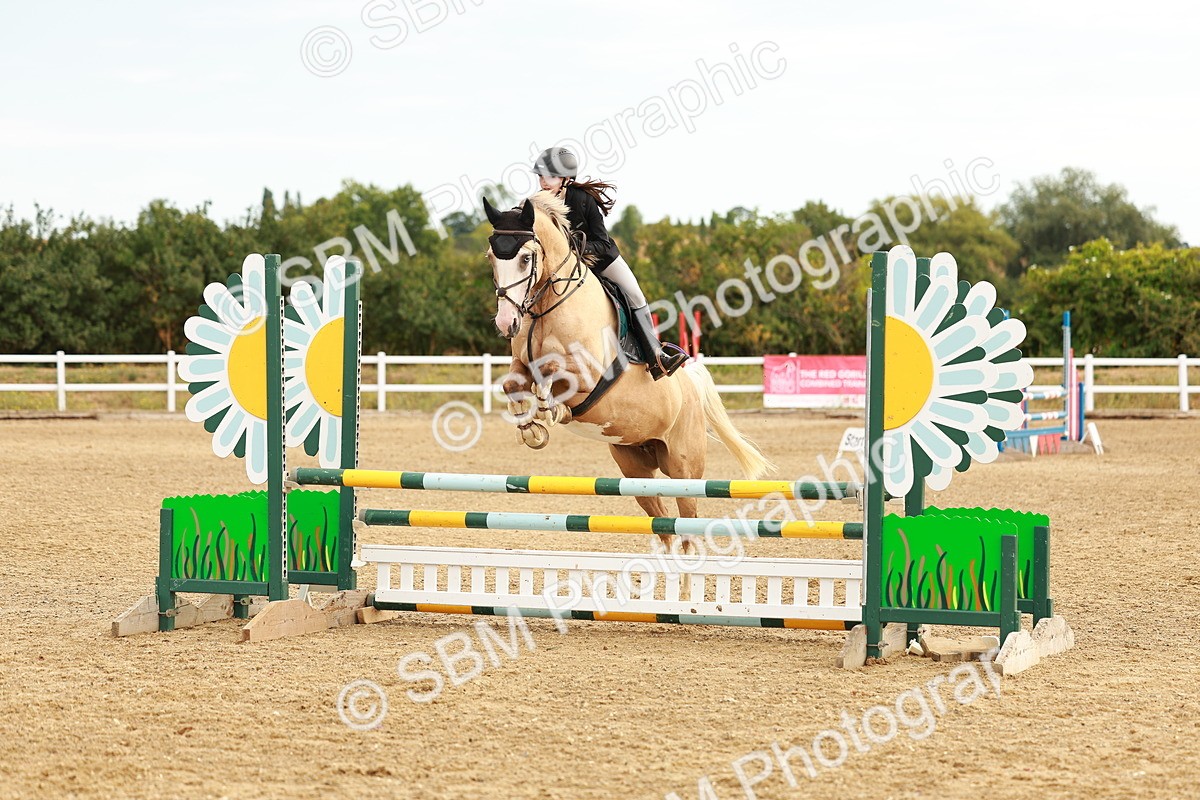 SBM_002241 - Class 9 - Senior British Novice - 90cm