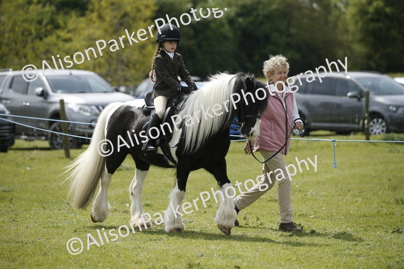 20260426-3449 - Class 11 - Best Mane and Tail