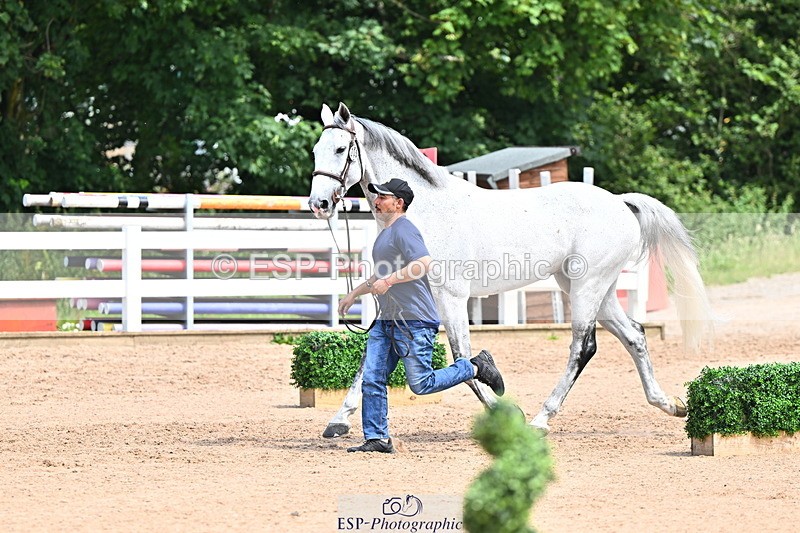 240718A-105255-01322 - Trot Up 12pm to 1pm