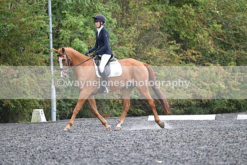 WJ7_6642 - Time 14:49 to 15:14