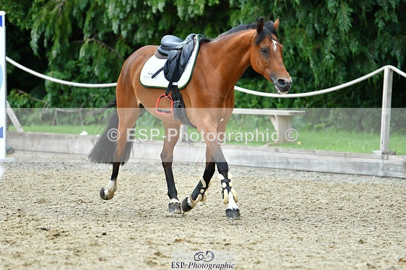 230712-113551-22877 - Cls 55 British Novice & 90cm Open