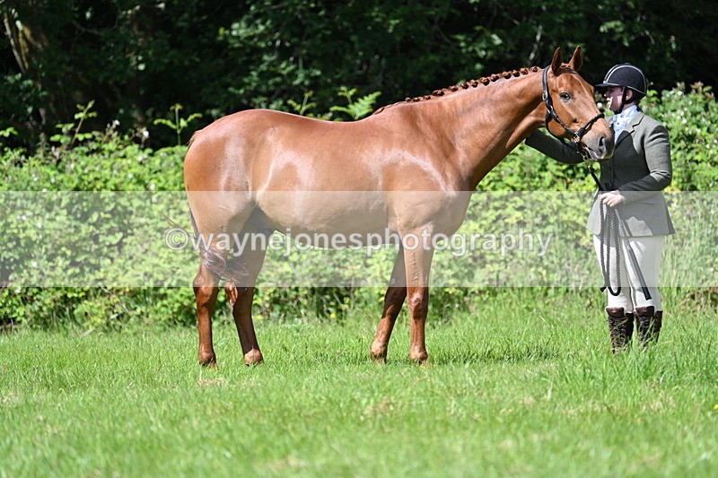 WJ7_1225 - Class 11 Condition & Turnout