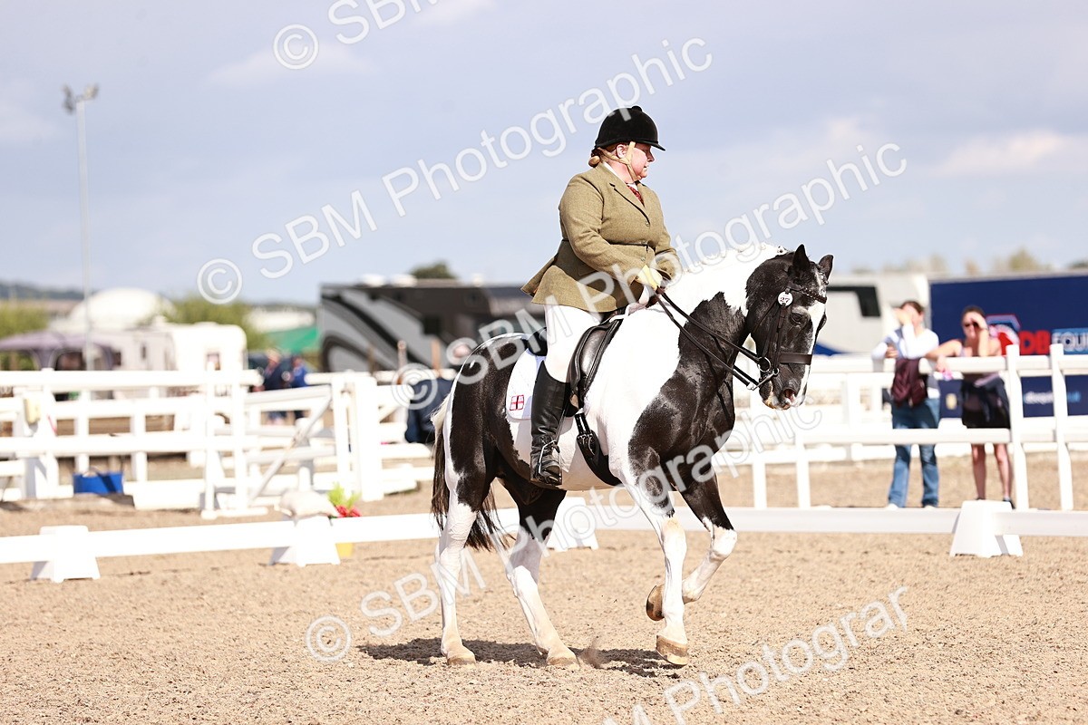 SBM_06608 - Class 39 - Medium 3