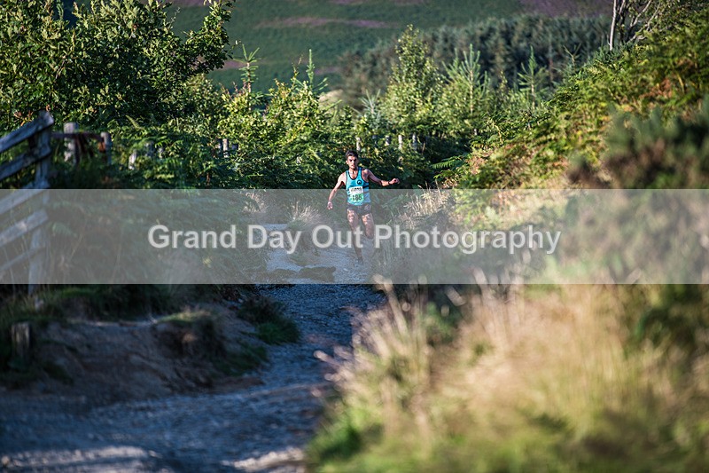 Latrigg-370 - Not Round Latrigg Race Wednesday 14th August 2024