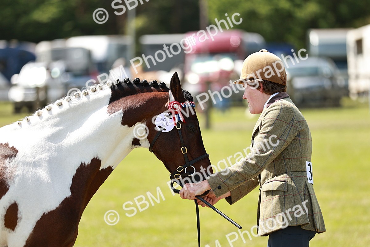 SBM_05453