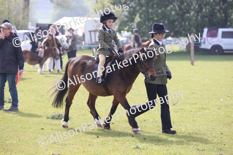 20260426-0339 - Class 30 - Tiny Tots Lead Rein