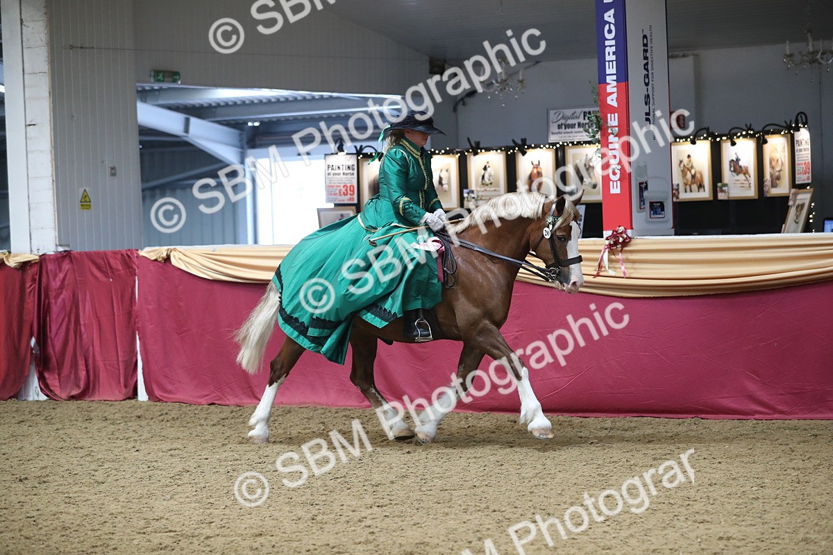 SBM_12229 - Class 107 Ridden Costume- Astride Adult (20+)
