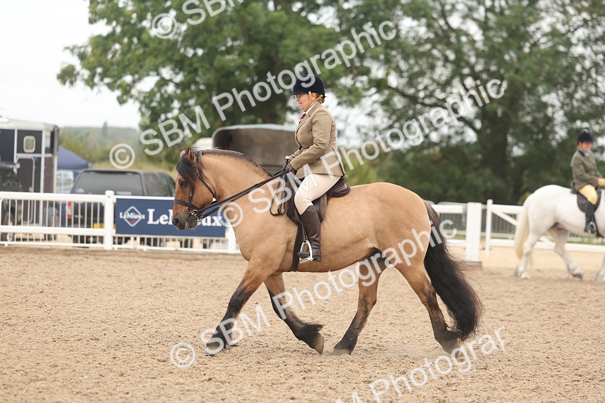 SBM_01918 - Class 14 - Ridden M&M Wildcard