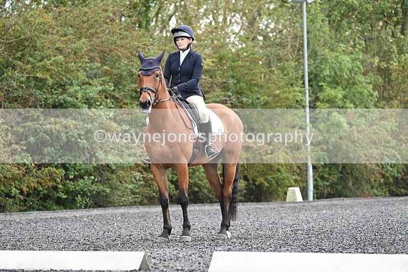 WJ7_3403 - Time 09:54 to 10:54