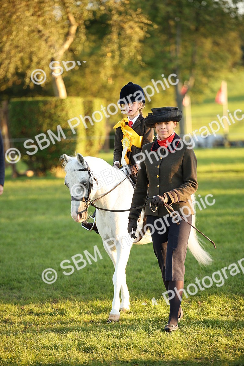 SBM_57058 - Veteran Supreme Championship