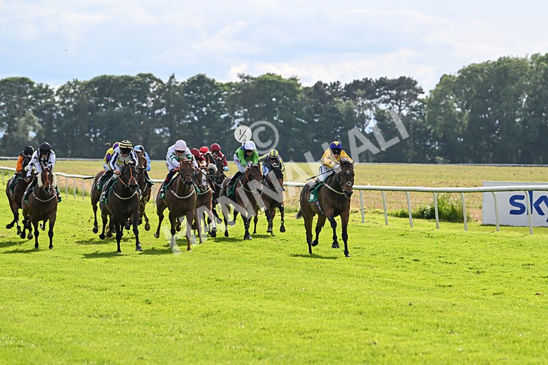 160624-Race 5-American Affair-8937 - Race 5