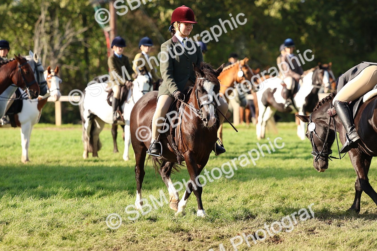 SBM_52531 - S13 - Pony Club Pony