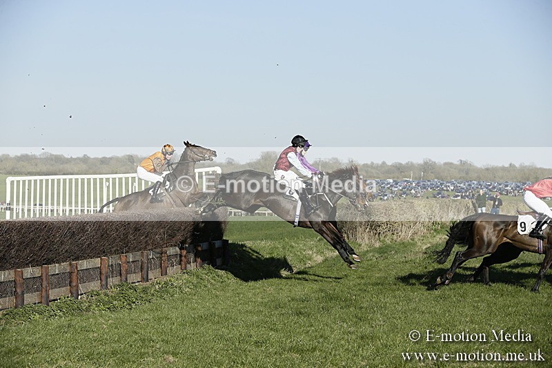 PtP 250317 483 - V.W.H. Hunt Point-to-Point Siddington 25/03/17