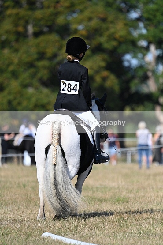 WJ7_9351 - Time 10:08 to 10:13