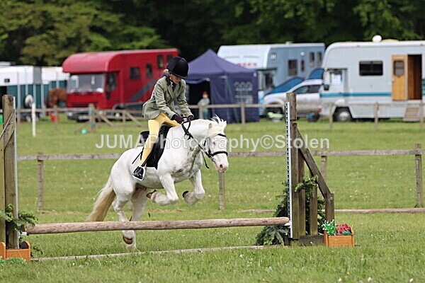 IMG_2544 - Working Hunter