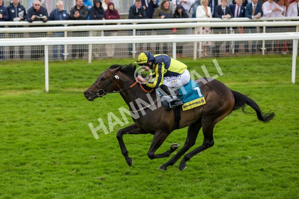 150624-Race 4-Jamess Delight-6158 - Race 4 3.35pm Churchill Tyres Supporting Macmillan Sprint Handicap