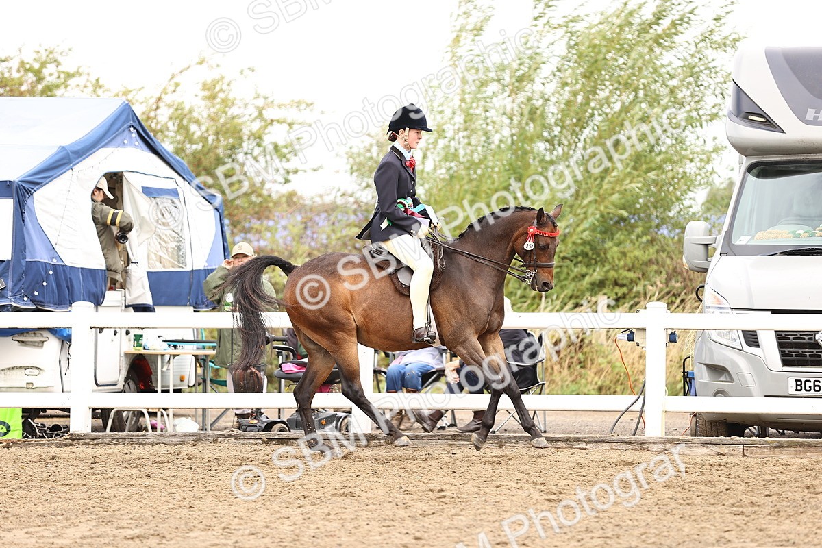 SBM_01462 - Class 54 - Riding Club Horse Pony