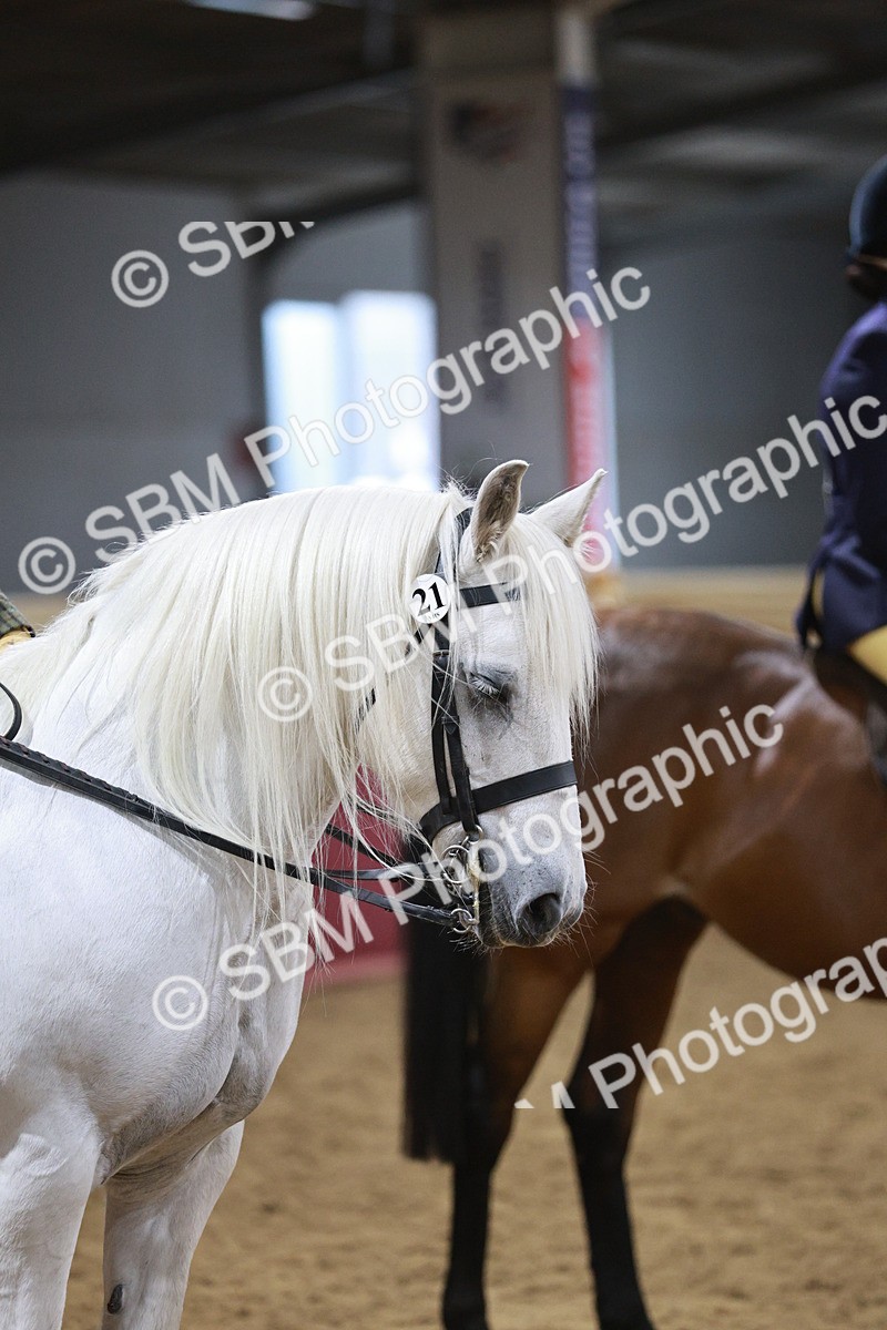 SBM_08078 - Class 11R - Regional Ridden Veteran