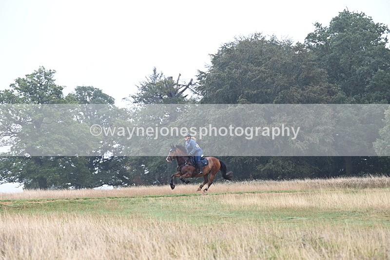 DSC_1027 - Time at Statue 10:58 to 11:53