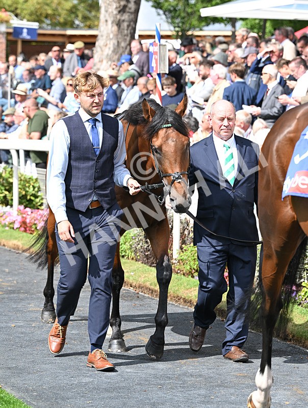 190826-116 Superior Choice - Race 3 15.00pm Sky Bet Great Voltigeur Stakes