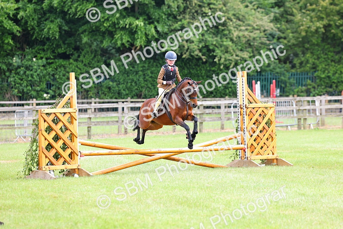 SBM_09430 - Class 44-45 - LIHS BSPS Open Nursery and Cradle Stakes