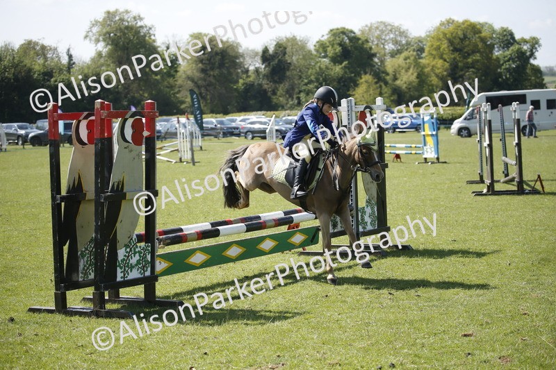 20250427-2259 - Class 13 - Novice Jumping 60cm