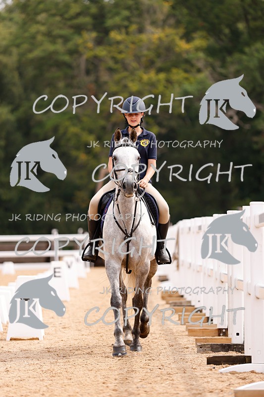 _R6A2534 - Dressage Morning
