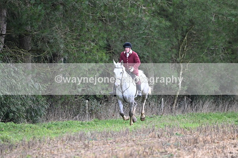 WJ6_9462 - Line Four