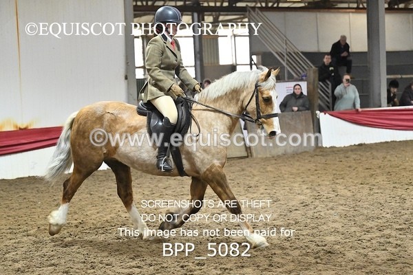 BPP_5082 - CLASS 4 50cm