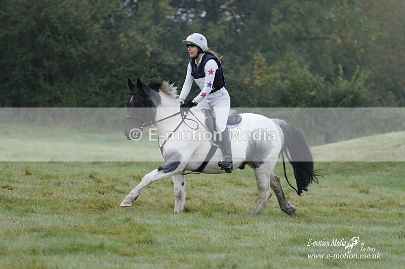 WWHT 171021 0413 - Novice Restricted (0.80m)  17/10/21