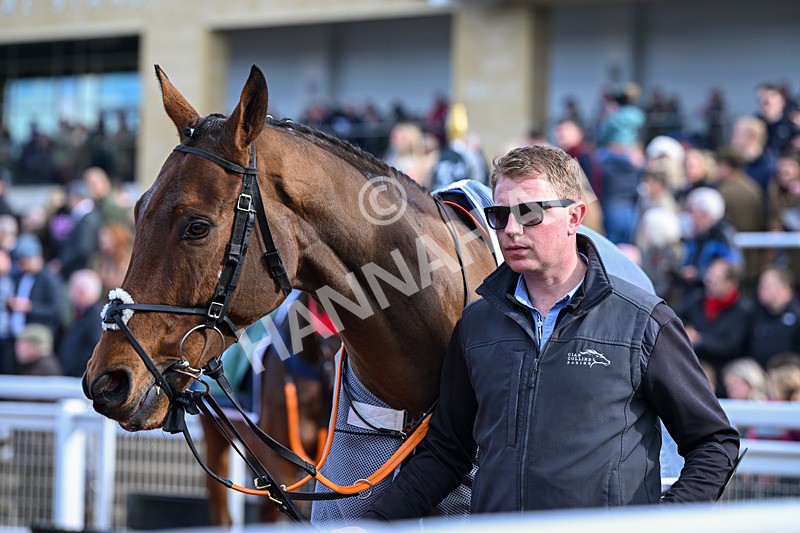251025-Race 2-Sporting Glance-7388 - Race 2