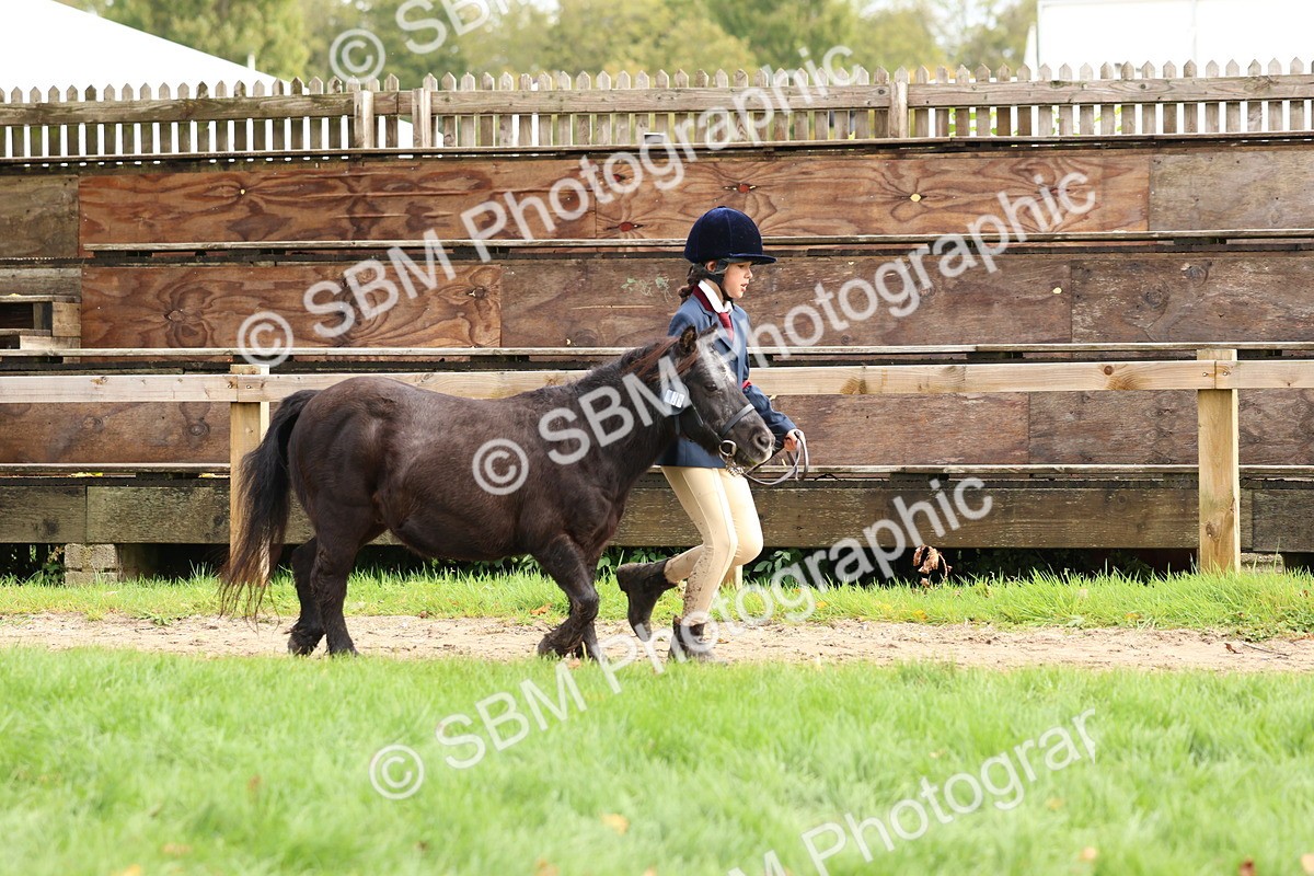 SBM_40719 - S25 -  Veteran In Hand