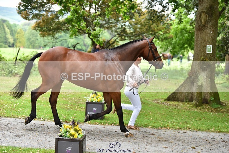 240522-163046-00970 - 203-OAKPORT_WEST_COAST_EXPRESS-Emma_Wilkes