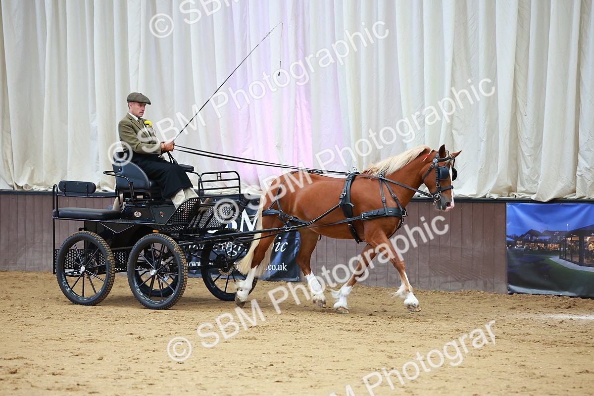 SBM_000671 - Class 11 - Peter Howell Memorial Gentlemen Whip