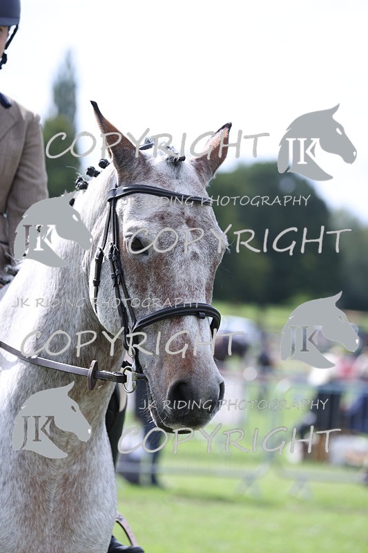 APP_3254 - Class 11 Veterans ridden