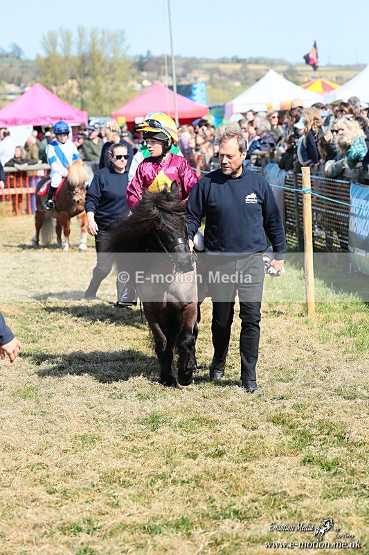 Shet 060426 79 - Shetland Pony Racing Paxford Races Easter Mon 06/04/26