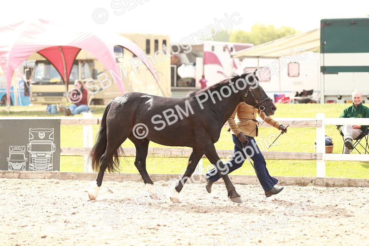 SBM_12429 - Class 207 IH M&M