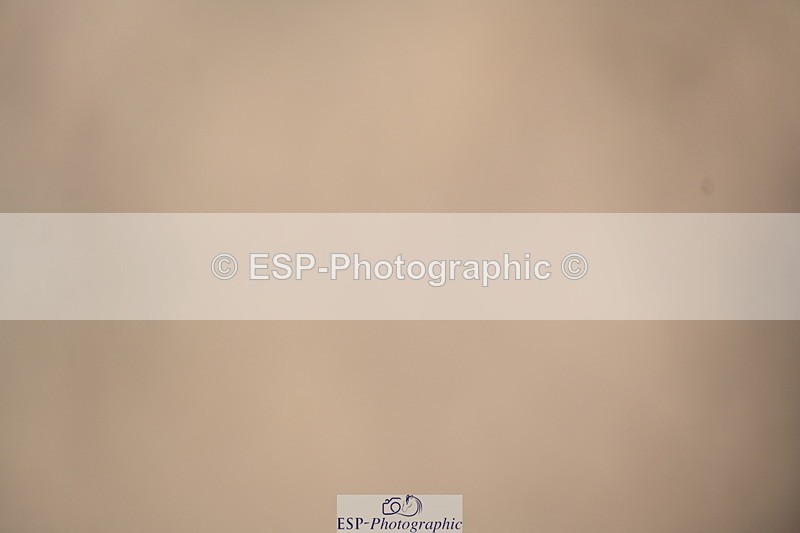 240323A-102755-01380 - DR Prelim 2