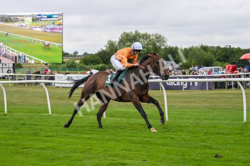 180825-Race 4-Alther Walden-8734 - Race 4