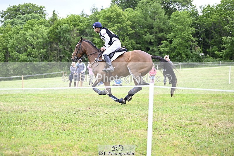 250524A-160757-14494 - C-258-Bill.Levett-ITALIAN.HARLEQUIN.NJ