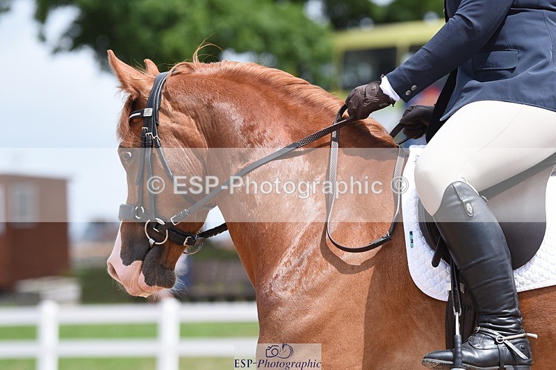 230702A-130904-10144 - Cls 1, 3+4 Intro A, Prelim 12+18