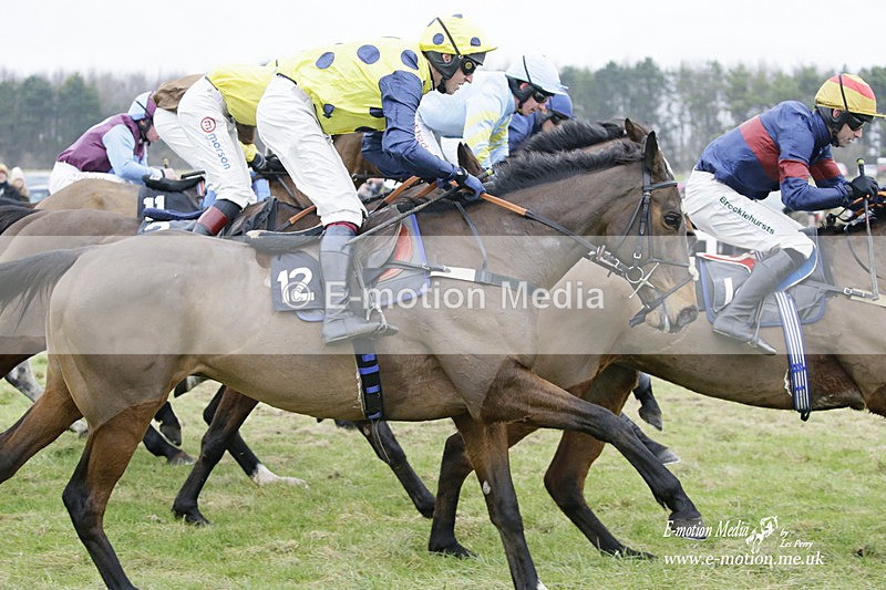 PtP 220122 453 - Royal Artillery Hunt Point-to-Point  - Larkhill Racecourse 22/01/22