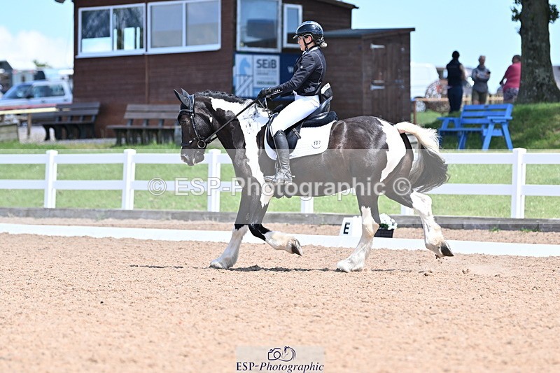 240621A-132241-03715 - Cls 8 BD Elementary 53