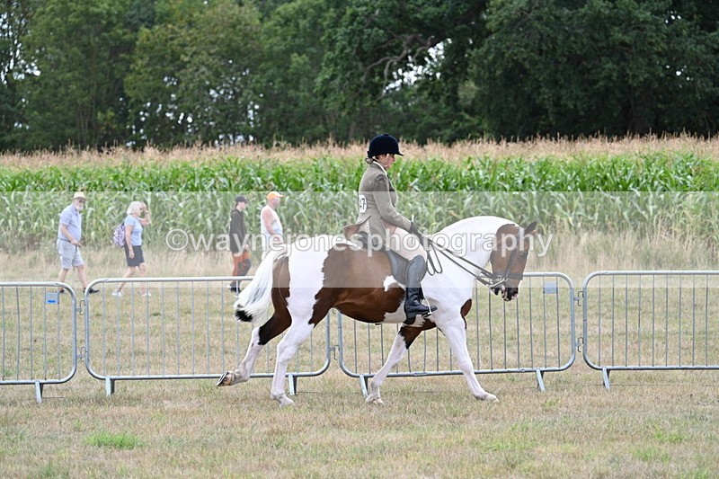 WJ7_5233 - Class 12 Ridden Cob