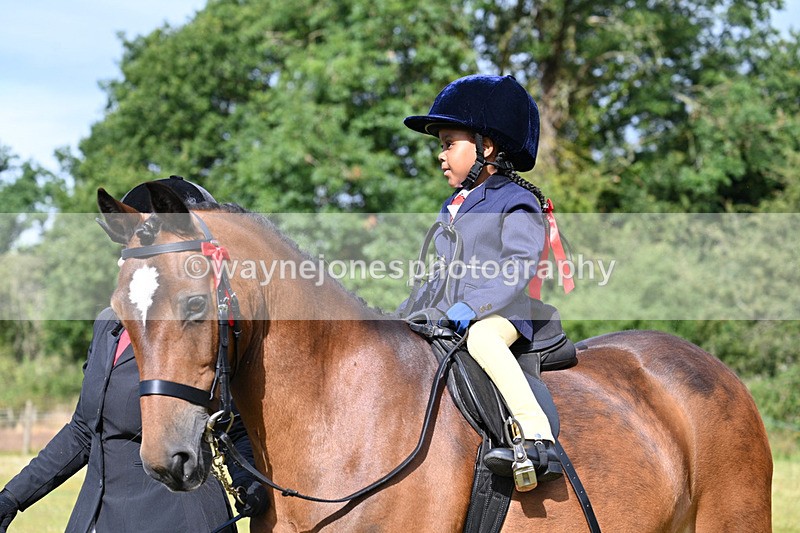 WJ7_4302 - Class 1 Lead Rein Pony