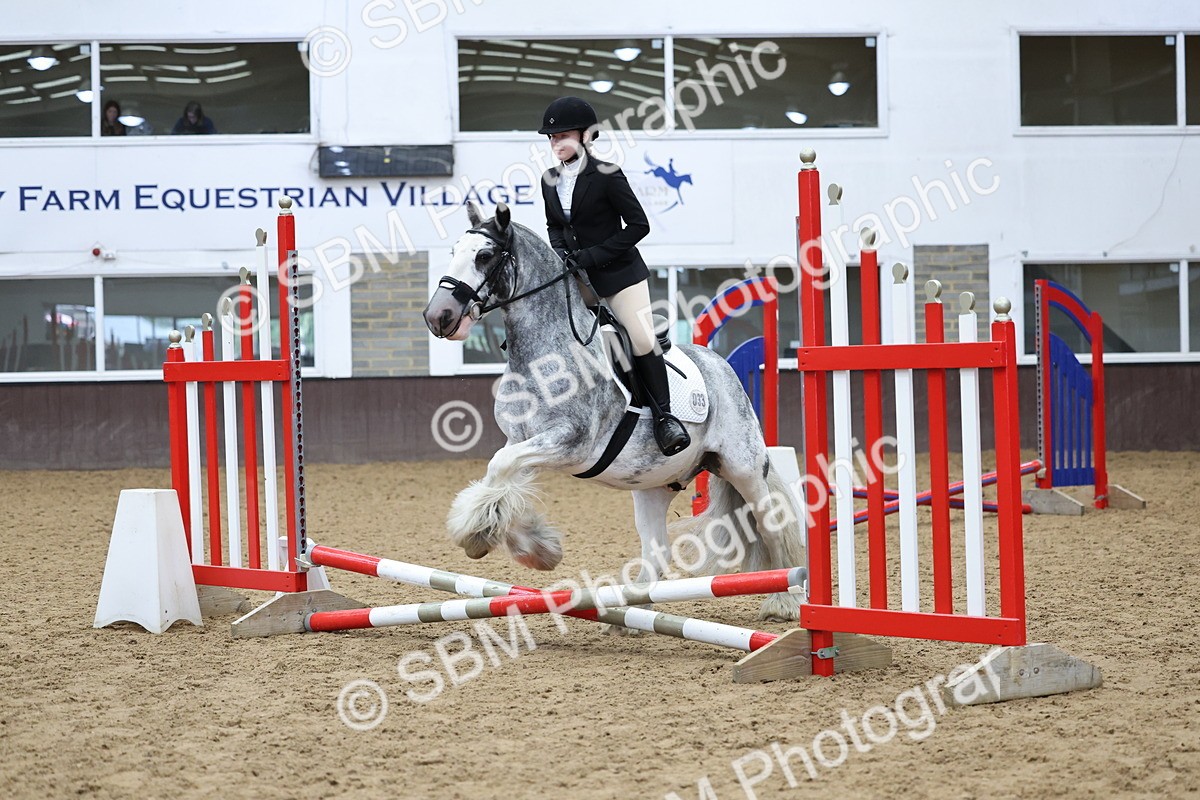 SBM_006900 - Class 1 - 40cm showjumping