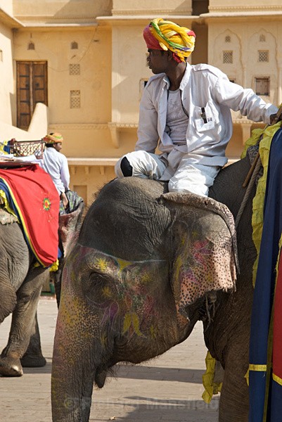  - Rajasthan, India